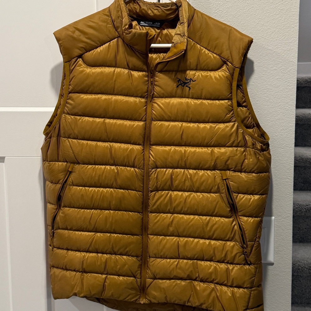 Arc'teryx Men's Puffy Vest